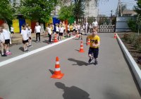 img (5)